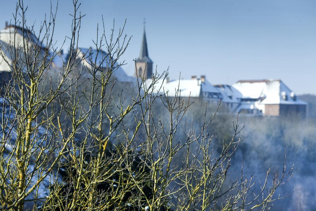Spa Hotel Restaurant Au Lion D'Or ラ・プティット・ピエール エクステリア 写真